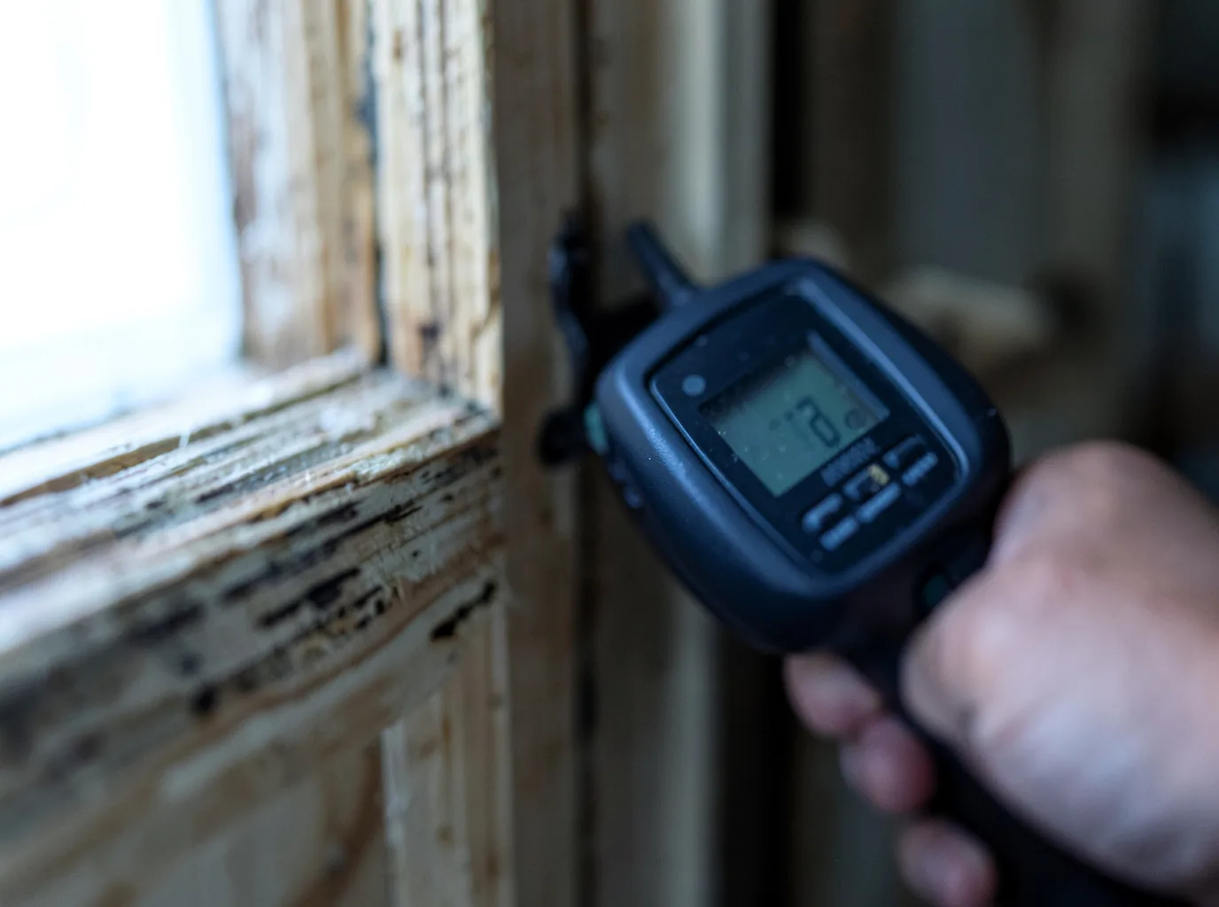 Moisture Inspection And Documentation in Thorsby, AL